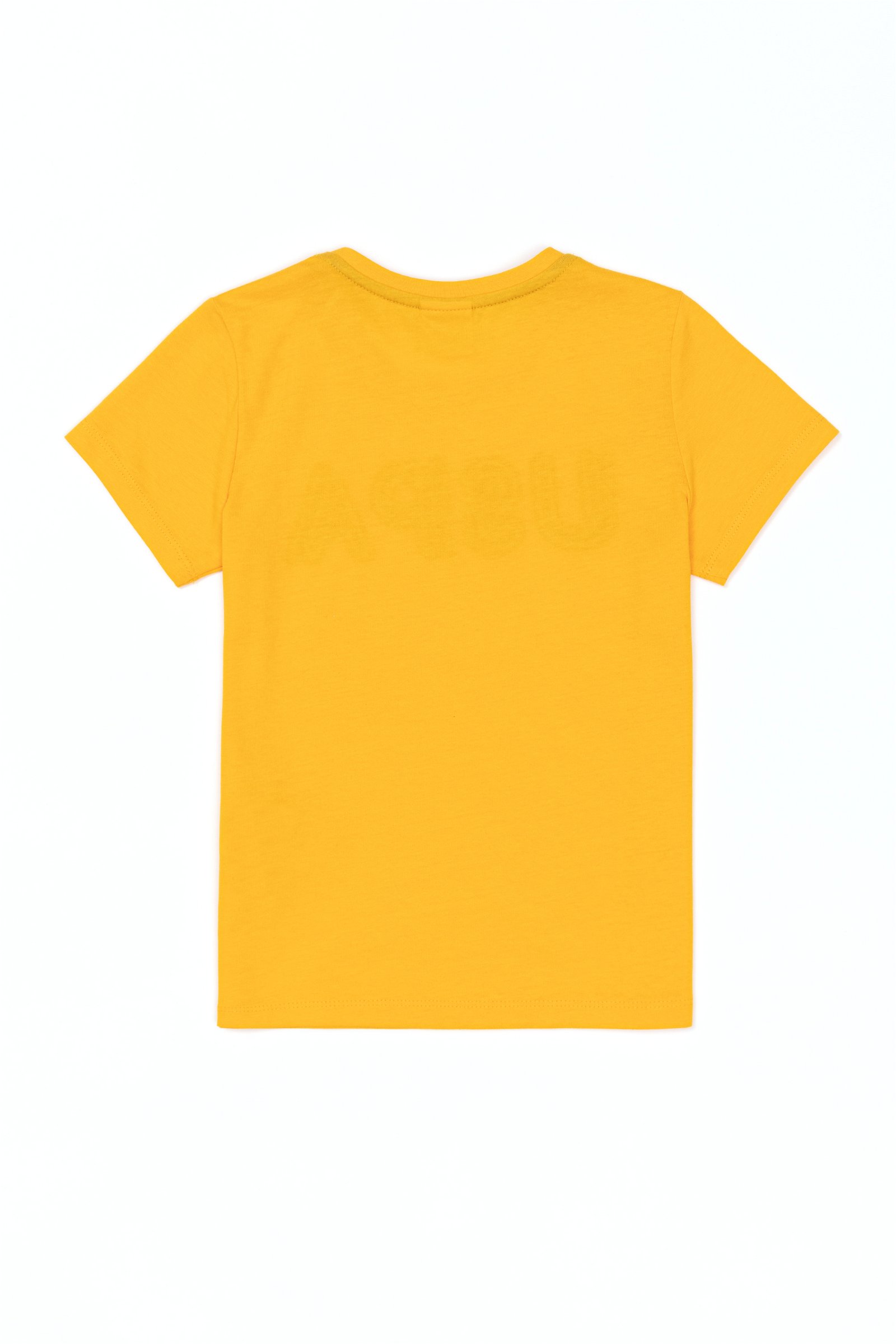 تی شرت یقه گرد زرد  استاندارد فیت آستین کوتاه پسرانه یو اس پولو | US POLO ASSN