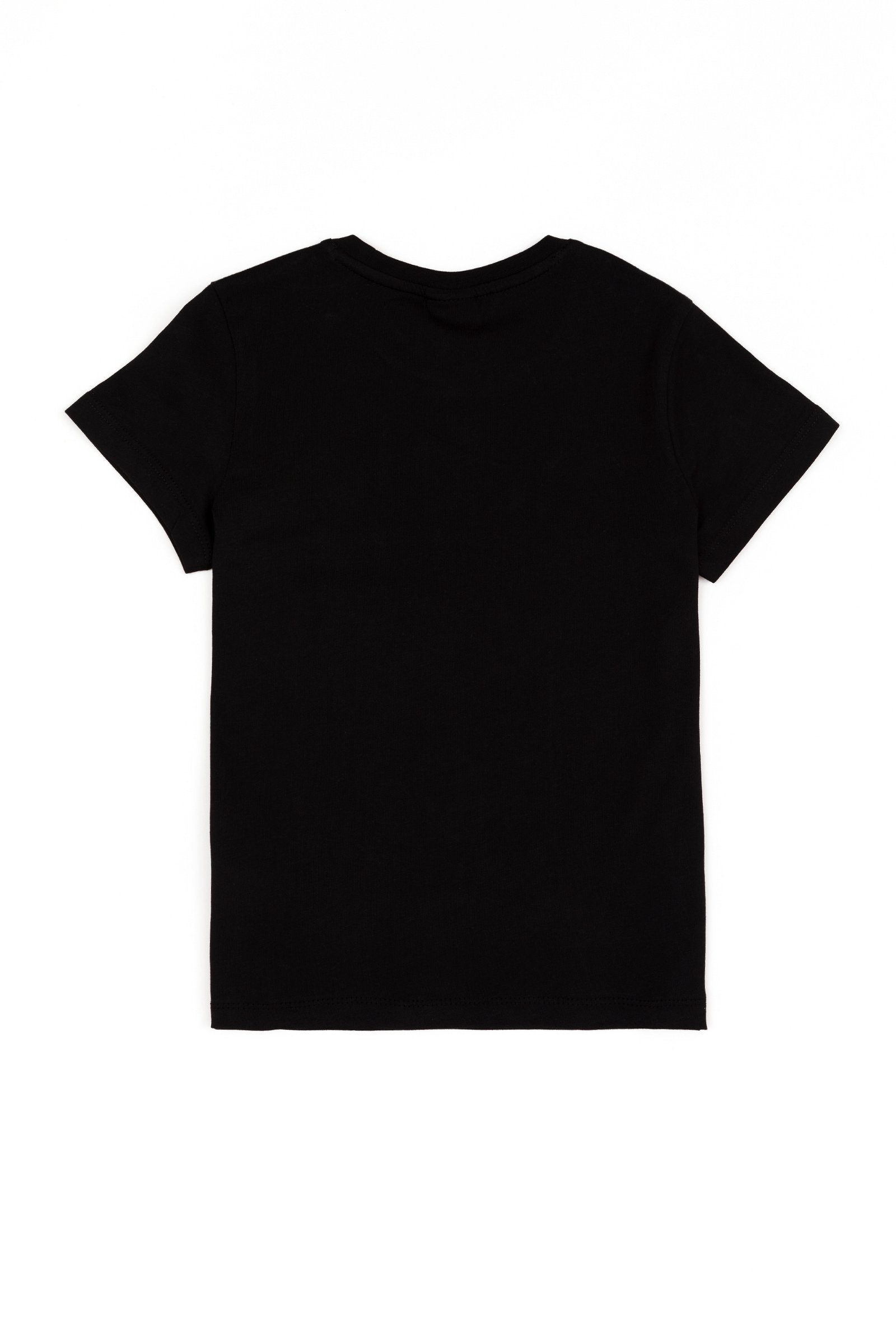 تی شرت یقه گرد سیاه  استاندارد فیت آستین کوتاه پسرانه یو اس پولو | US POLO ASSN
