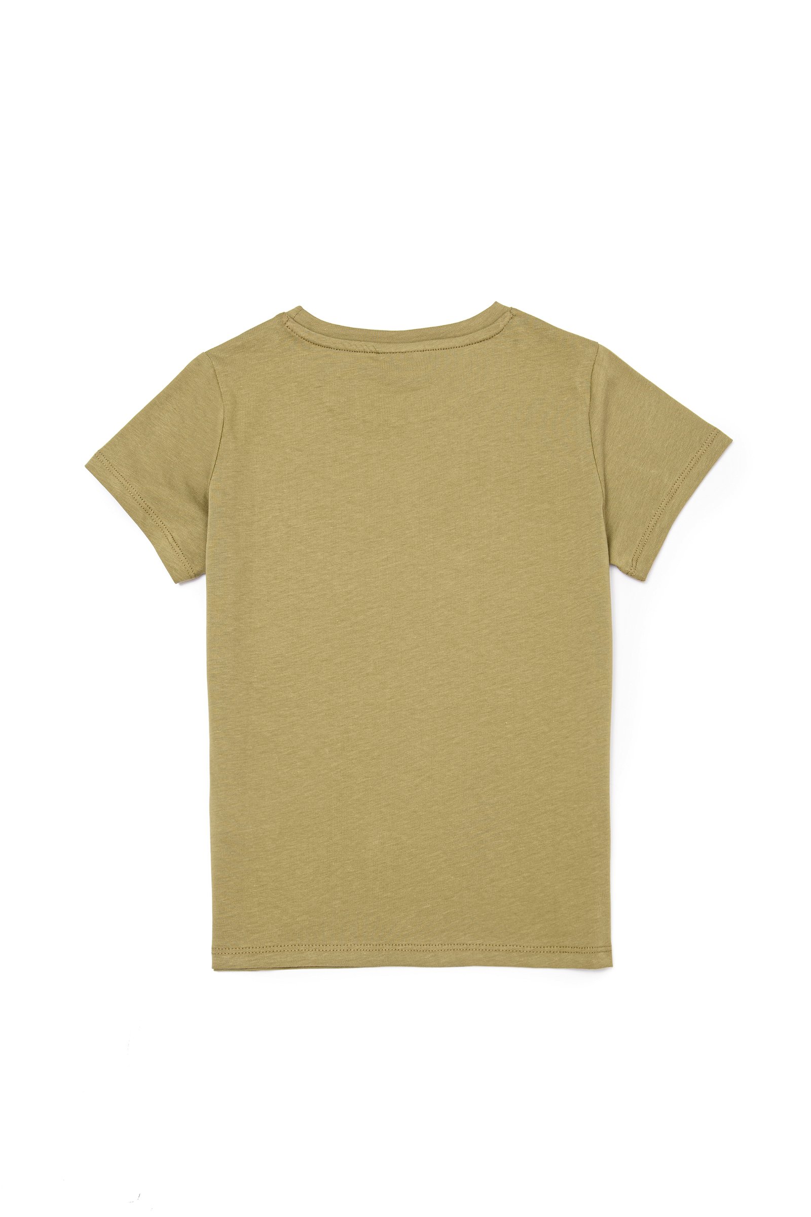 تی شرت یقه گرد خاکی  استاندارد فیت آستین کوتاه پسرانه یو اس پولو | US POLO ASSN