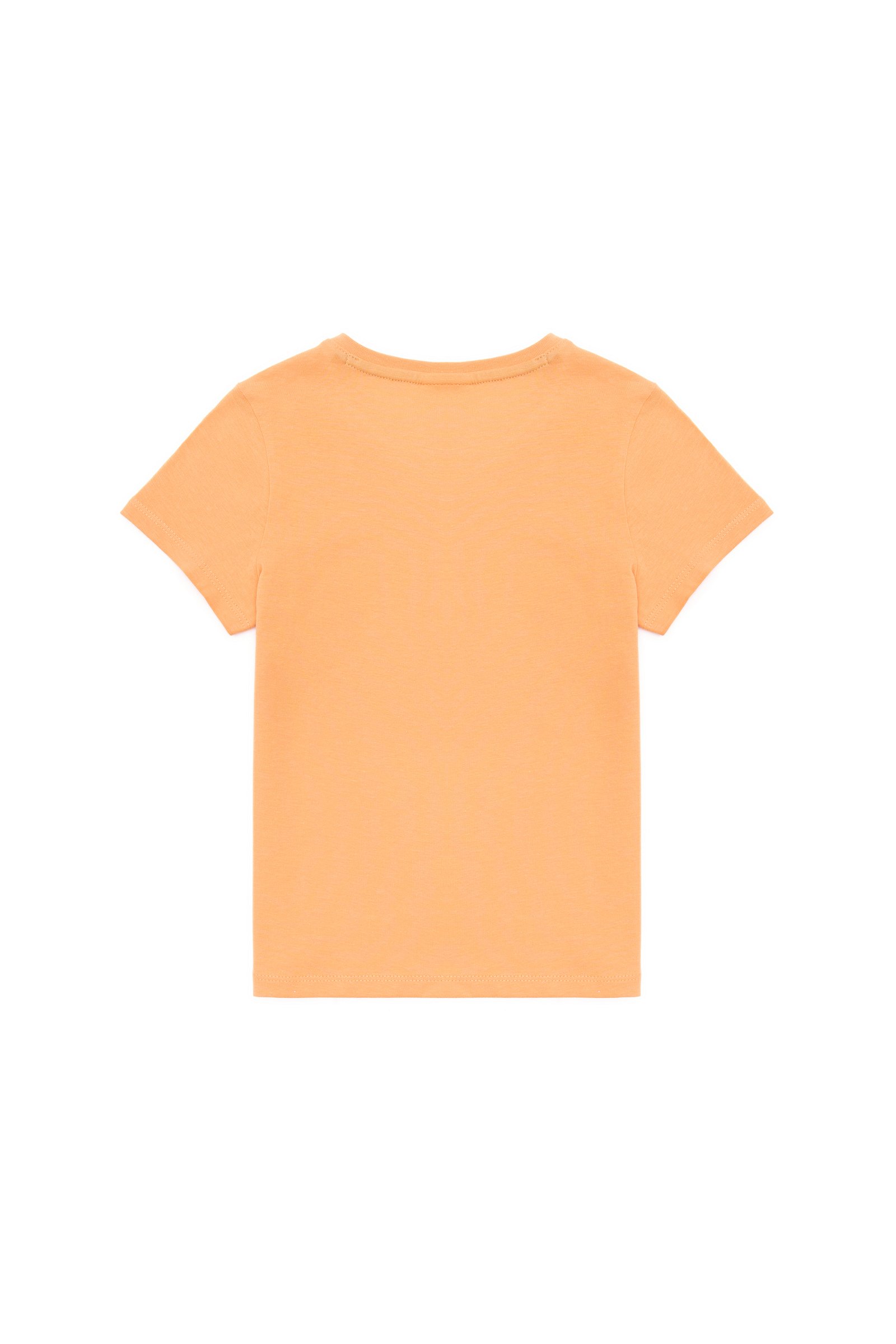 تی شرت  نارنجی  رگولار  پسرانه یو اس پولو | US POLO ASSN