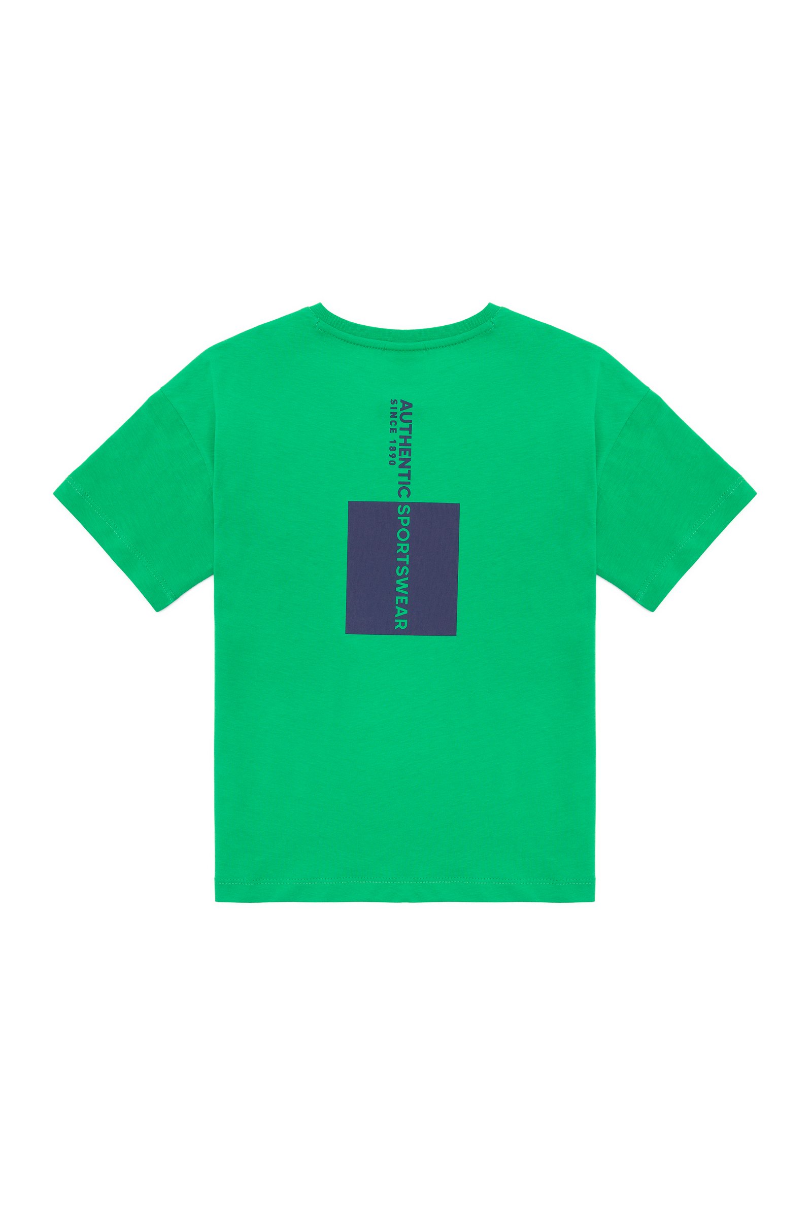 تی شرت یقه گرد سبز  Oversize  پسرانه یو اس پولو | US POLO ASSN