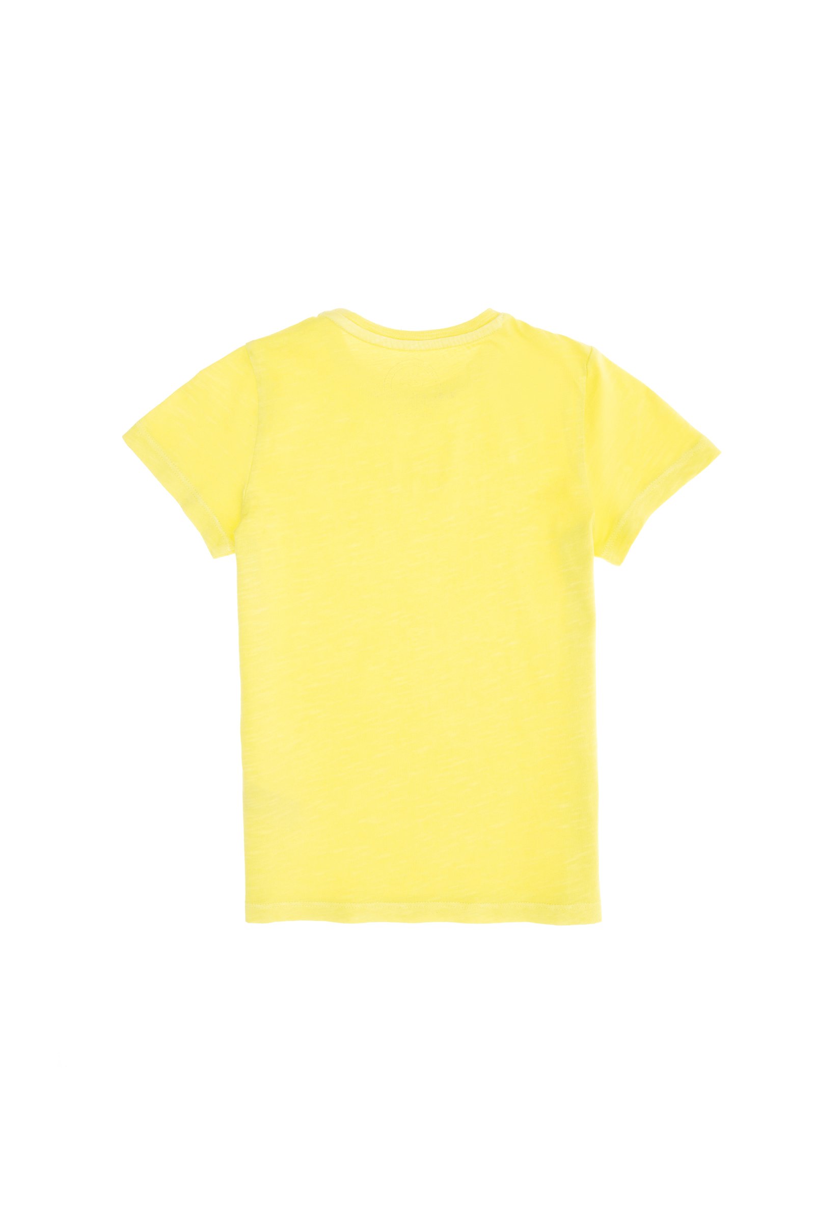 تی شرت یقه گرد لیمویی  استاندارد فیت  پسرانه یو اس پولو | US POLO ASSN