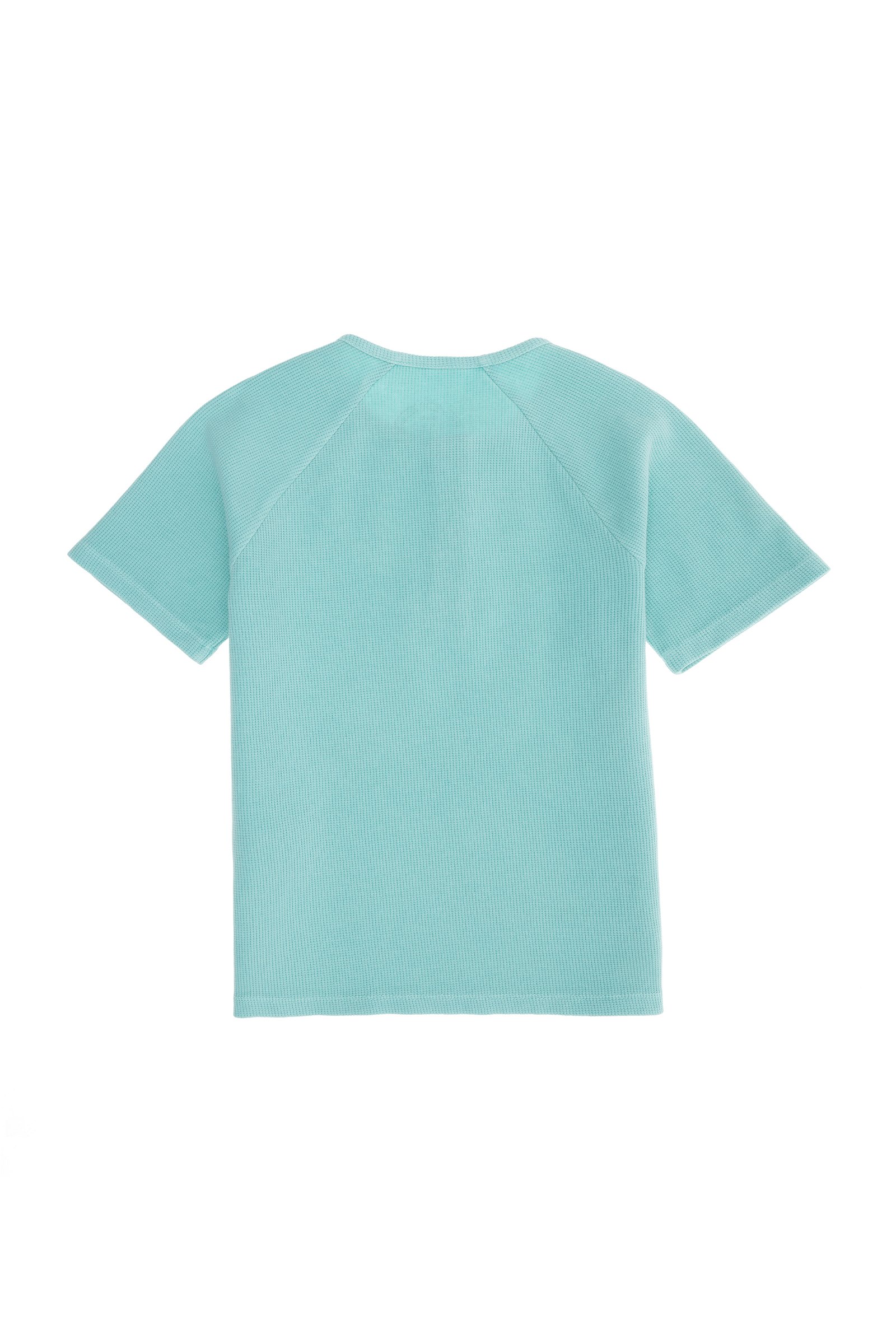 تی شرت یقه گرد نعناعی  استاندارد فیت  پسرانه یو اس پولو | US POLO ASSN