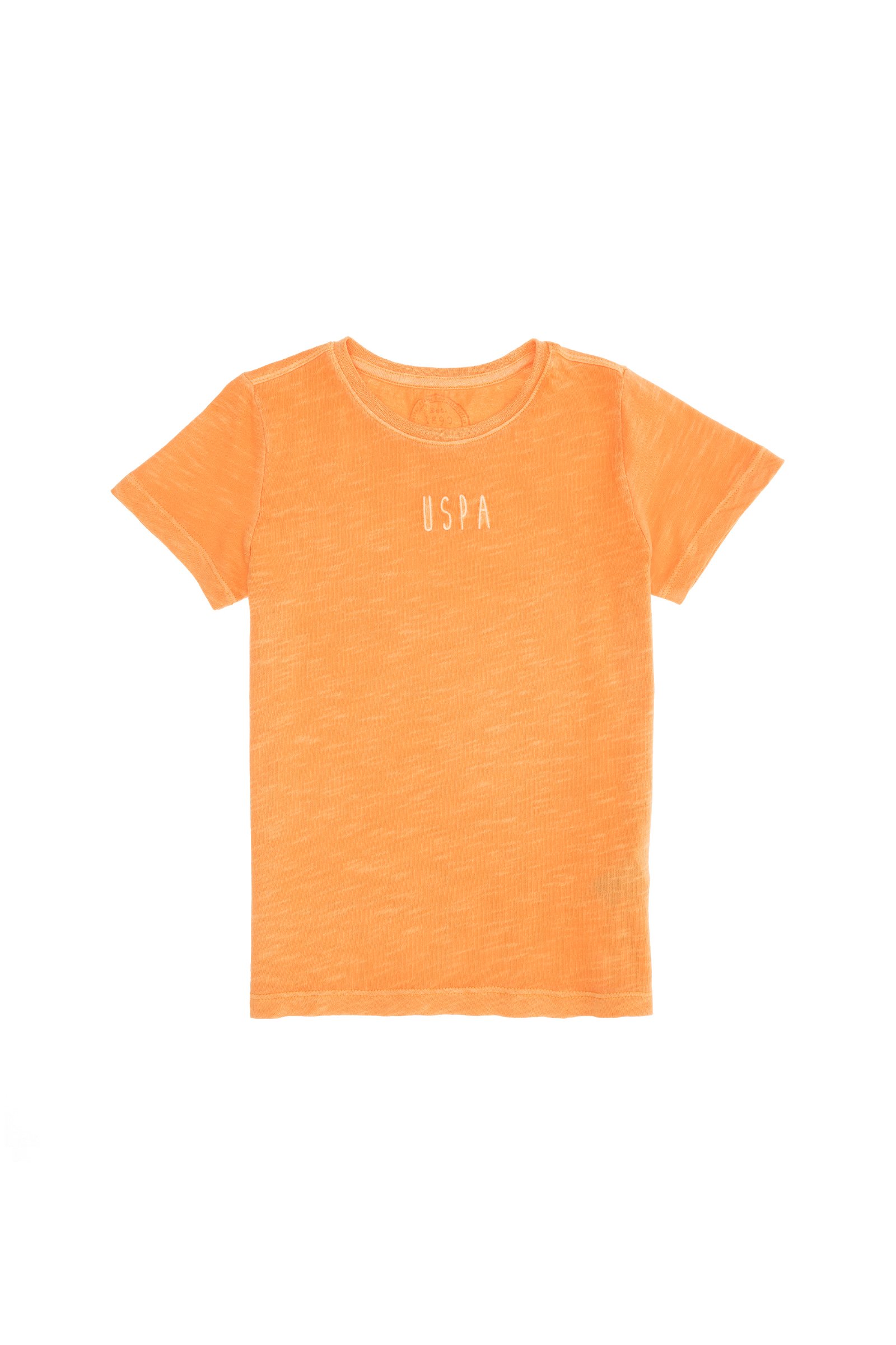 تی شرت یقه گرد نارنجی  استاندارد فیت  پسرانه یو اس پولو | US POLO ASSN