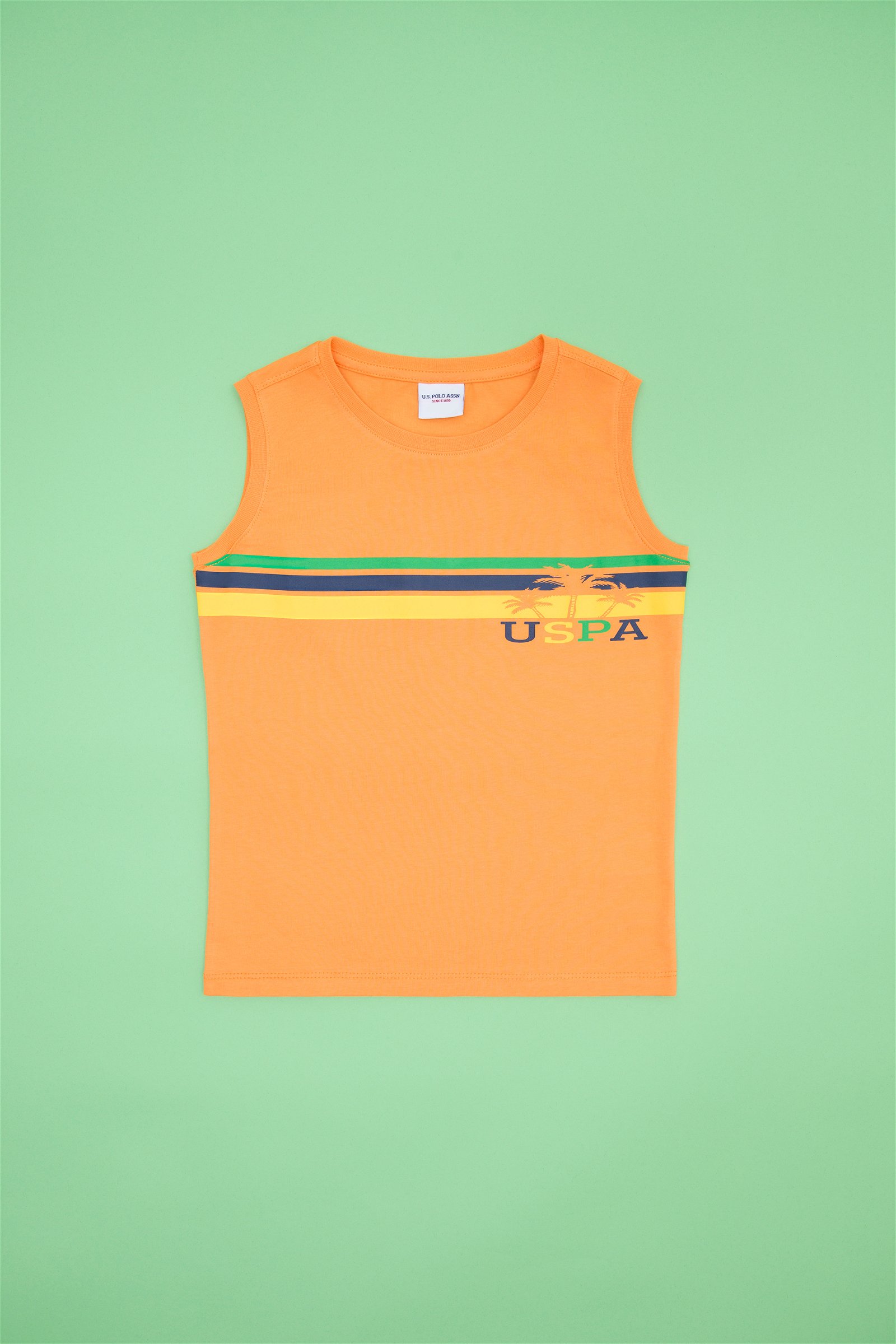 تی شرت  نارنجی  استاندارد فیت  پسرانه یو اس پولو | US POLO ASSN